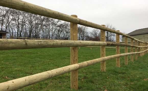 Fences